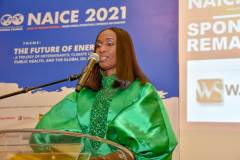 OIL-INDUSTRY-NIGHT-255